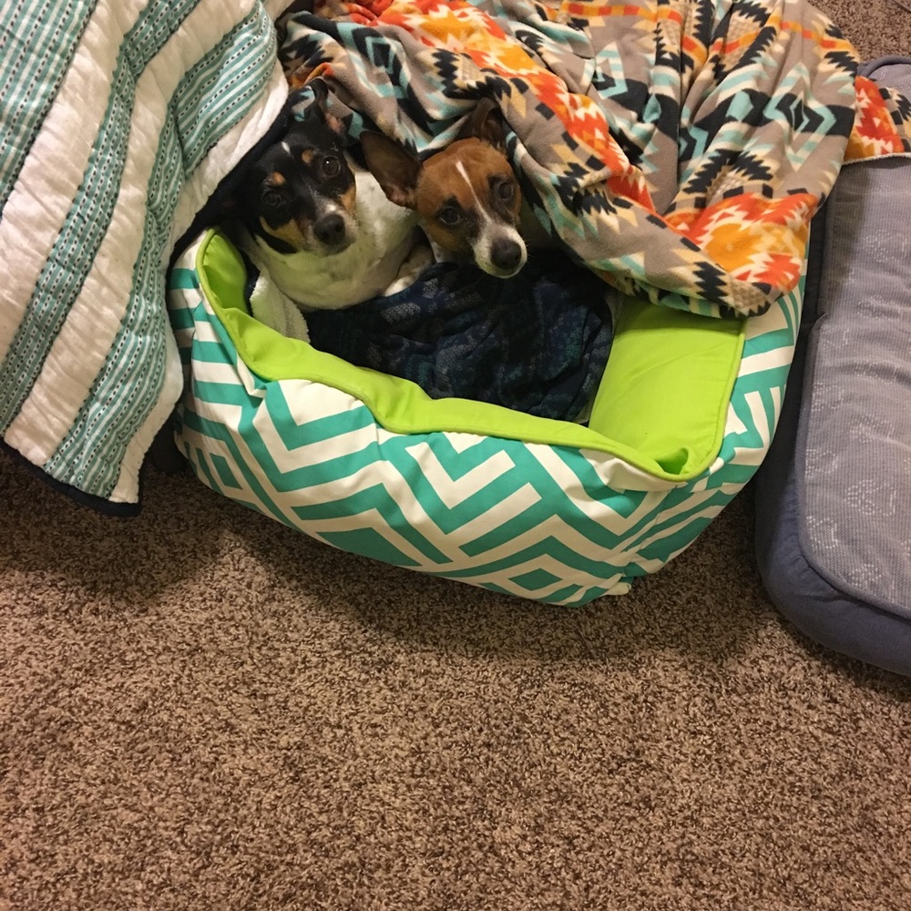 Meet your Posher, Theresa